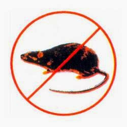 Indian-pest-control-company-Pest-control-services-Sector-16a-noida-Uttar-pradesh-1