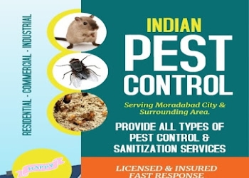 Indian-pest-control-Pest-control-services-Civil-lines-moradabad-Uttar-pradesh-1