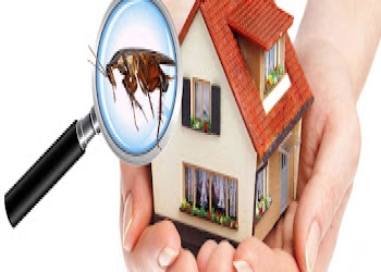 Indiana-pest-management-Pest-control-services-Sri-ganganagar-Rajasthan-2