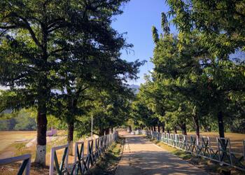 Indira-gandhi-park-Public-parks-Itanagar-Arunachal-pradesh-3