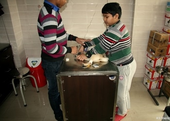 Indirapuram-pet-clinic-Veterinary-hospitals-Ghaziabad-Uttar-pradesh-3