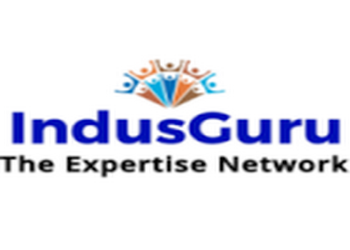 Indusguru-network-partners-llp-Business-consultants-Mumbai-Maharashtra-1
