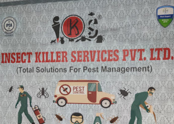 Insect-killer-services-pvt-ltd-Pest-control-services-Jagatpura-jaipur-Rajasthan-1