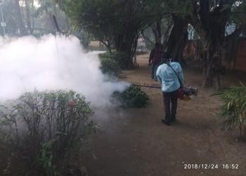 Insects-extermination-bureau-pest-control-Pest-control-services-Bidhannagar-durgapur-West-bengal-2
