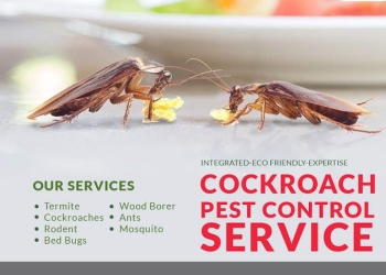 Instant-pest-control-painting-Pest-control-services-Patia-bhubaneswar-Odisha-1
