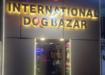 International-dog-bazar-Pet-stores-Jaipur-Rajasthan-1