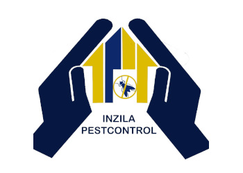 Inzila-pest-control-service-Pest-control-services-Harmu-ranchi-Jharkhand-1