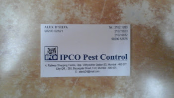 Ipco-pest-control-Pest-control-services-Kurla-mumbai-Maharashtra-2