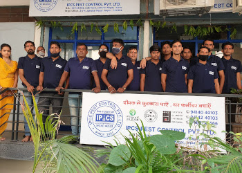 Ipcs-pest-control-pvt-ltd-Pest-control-services-Civil-lines-jaipur-Rajasthan-2