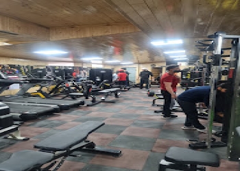 Iron-tribe-gym-Gym-Shimla-Himachal-pradesh-1