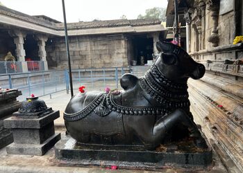 Jalakandeswarar-temple-Temples-Vellore-Tamil-nadu-3