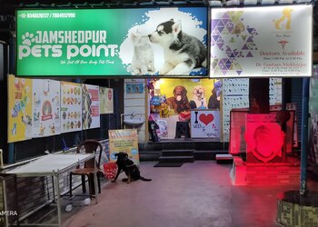 Jamshedpur-pets-point-Pet-stores-Jamshedpur-Jharkhand-1