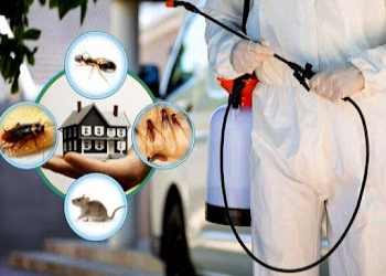 Jay-pest-control-Pest-control-services-Bhilai-Chhattisgarh-1