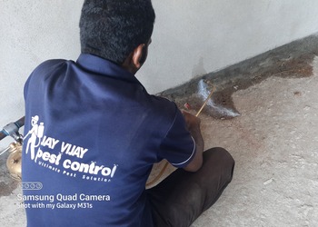 Jay-vijay-pest-control-Pest-control-services-Kurduwadi-solapur-Maharashtra-2