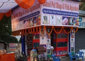 Johari-pet-shop-fish-aquarium-Pet-stores-Bareilly-Uttar-pradesh-1