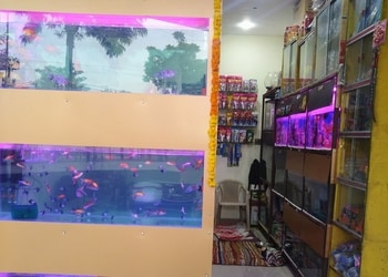 Johari-pet-shop-fish-aquarium-Pet-stores-Bareilly-Uttar-pradesh-3