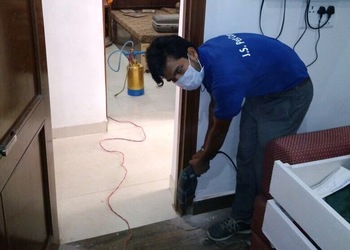 Js-pest-control-Pest-control-services-Sector-17-chandigarh-Chandigarh-3