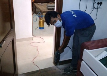 Js-pest-control-Pest-control-services-Sector-61-chandigarh-Chandigarh-3