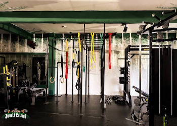 Jungle-culture-fitness-studio-Gym-Mattuthavani-madurai-Tamil-nadu-2