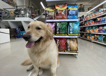 Just-dogs-Pet-stores-Bhosari-pune-Maharashtra-2