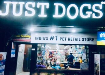 Just-dogs-Pet-stores-Clement-town-dehradun-Uttarakhand-1