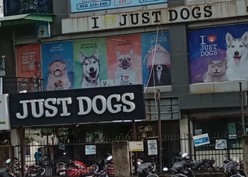 Just-dogs-Pet-stores-Navrangpura-ahmedabad-Gujarat-1