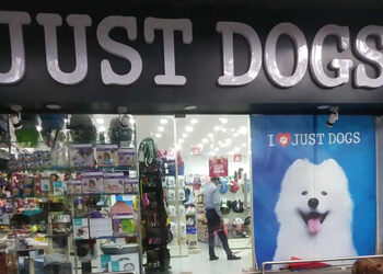 Just-dogs-Pet-stores-Viman-nagar-pune-Maharashtra-1