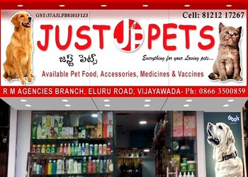 Just-pets-Pet-stores-Vijayawada-Andhra-pradesh-1