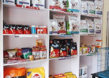 Kalinga-pet-shop-farm-Pet-stores-Harmu-ranchi-Jharkhand-2