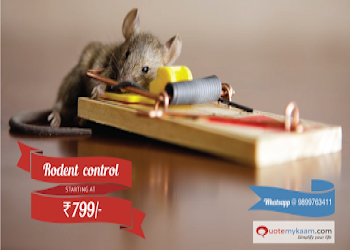 Kalsi-pest-control-Pest-control-services-Rajouri-garden-delhi-Delhi-2