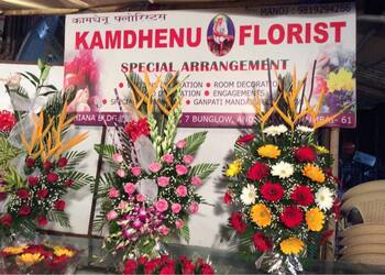 Kamdhenu-florist-Flower-shops-Andheri-mumbai-Maharashtra-1