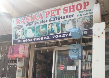 Kanika-pet-shop-Pet-stores-Faridabad-Haryana-1