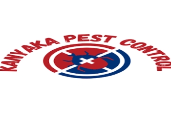 Kanyaka-pest-control-services-Pest-control-services-Chandrapur-Maharashtra-1