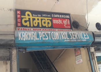 Karnal-pest-control-services-Pest-control-services-Panipat-Haryana-1