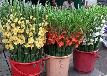 Kbn-flora-Flower-shops-Warangal-Telangana-2