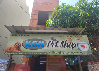 Kgn-pet-shop-Pet-stores-Kadapa-Andhra-pradesh-1