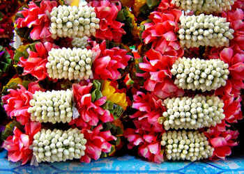 Khlorisa-Flower-shops-Pondicherry-Puducherry-2