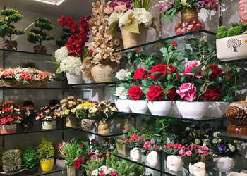 Khoobsurat-35-the-flower-hub-Flower-shops-Chandigarh-Chandigarh-3