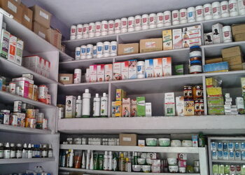 Khushi-homeo-hall-Homeopathic-clinics-City-centre-bokaro-Jharkhand-2