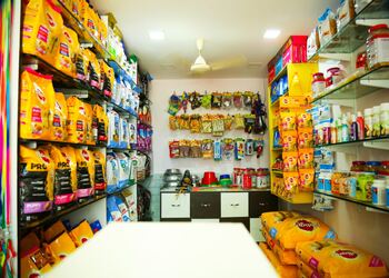 King5-pets-Pet-stores-Kakinada-Andhra-pradesh-2