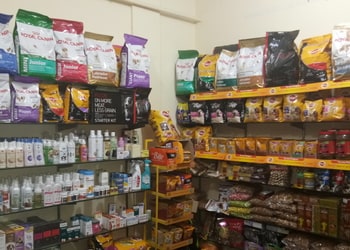 Kk-pet-shop-Pet-stores-Ghaziabad-Uttar-pradesh-2