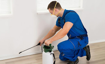 Krazy-cleans-and-pest-control-Pest-control-services-Udaipur-Rajasthan-1