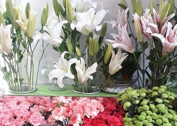 Krishnas-flowers-and-gift-boutique-Flower-shops-Alipore-kolkata-West-bengal-3