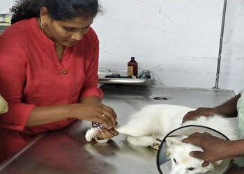 Kriya-petcare-clinic-Veterinary-hospitals-Tiruppur-Tamil-nadu-2