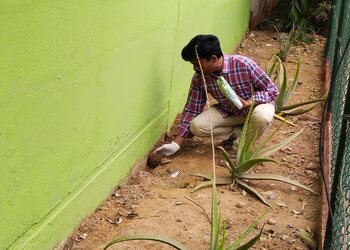 Krv-pest-control-services-Pest-control-services-Mattuthavani-madurai-Tamil-nadu-3