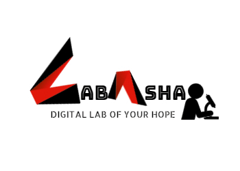 Labasha-Digital-marketing-agency-Patna-Bihar-1