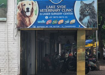 Lakesyde-Veterinary-hospitals-Chandigarh-Chandigarh-1