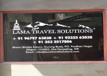 Lama-travel-solutions-Travel-agents-Pradhan-nagar-siliguri-West-bengal-1