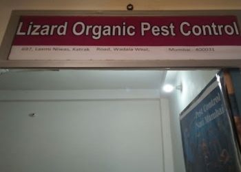 Laxmi-pest-control-services-Pest-control-services-Wadala-mumbai-Maharashtra-1