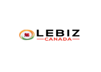 Lebiz-canada-llp-Business-consultants-Delhi-Delhi-1